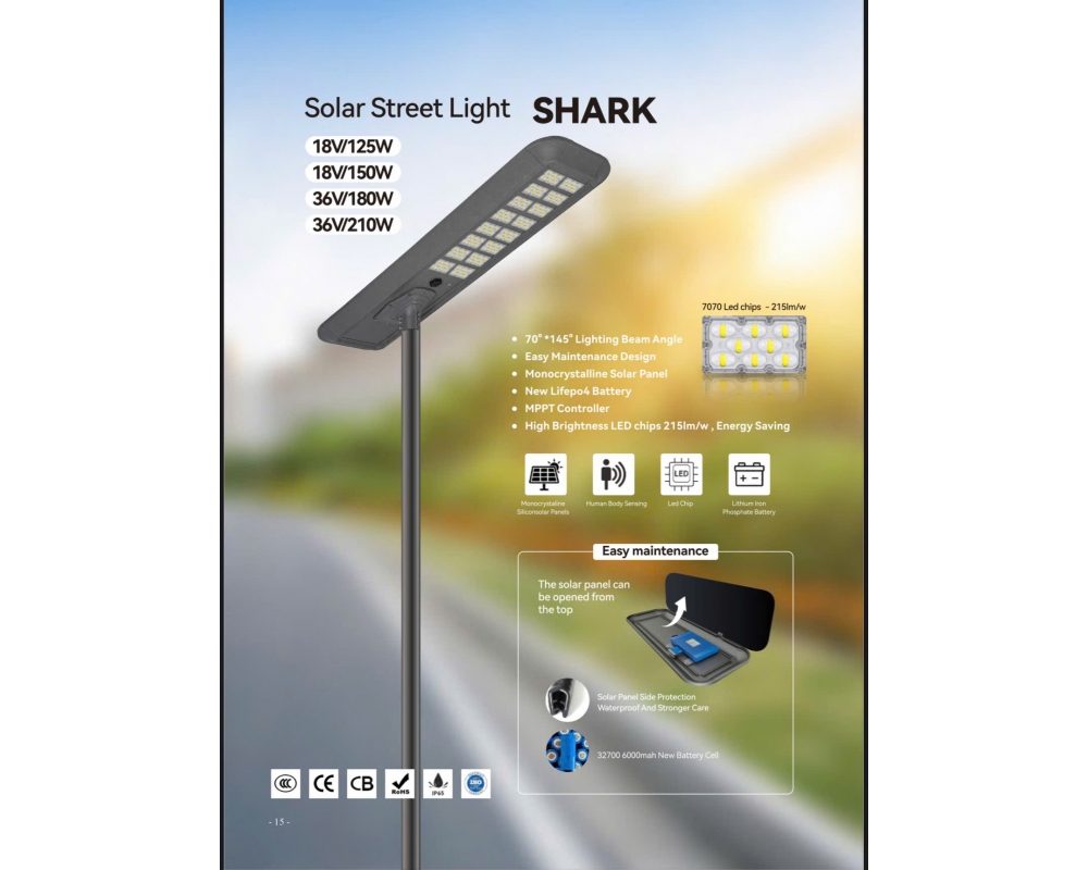 Đèn chiếu sáng công cộng NLMT