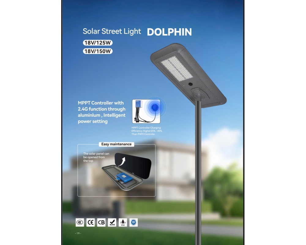 Đèn chiếu sáng công cộng NLMT